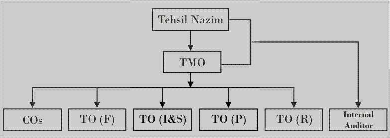 Organogram